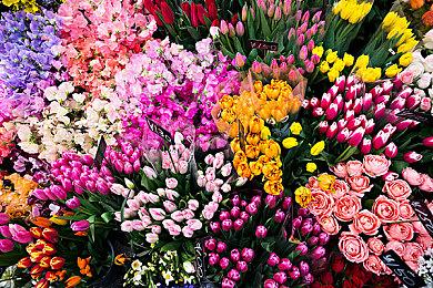 恐怖剧情《采石场惊魂》6月10日推出 《直到黎明》厂商参与制作